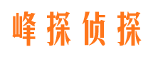 凌源市调查公司